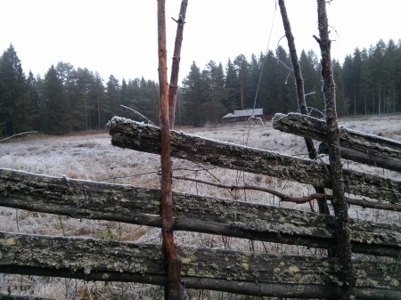 A frosty heritage fence at Hemlingby, taken by Graham